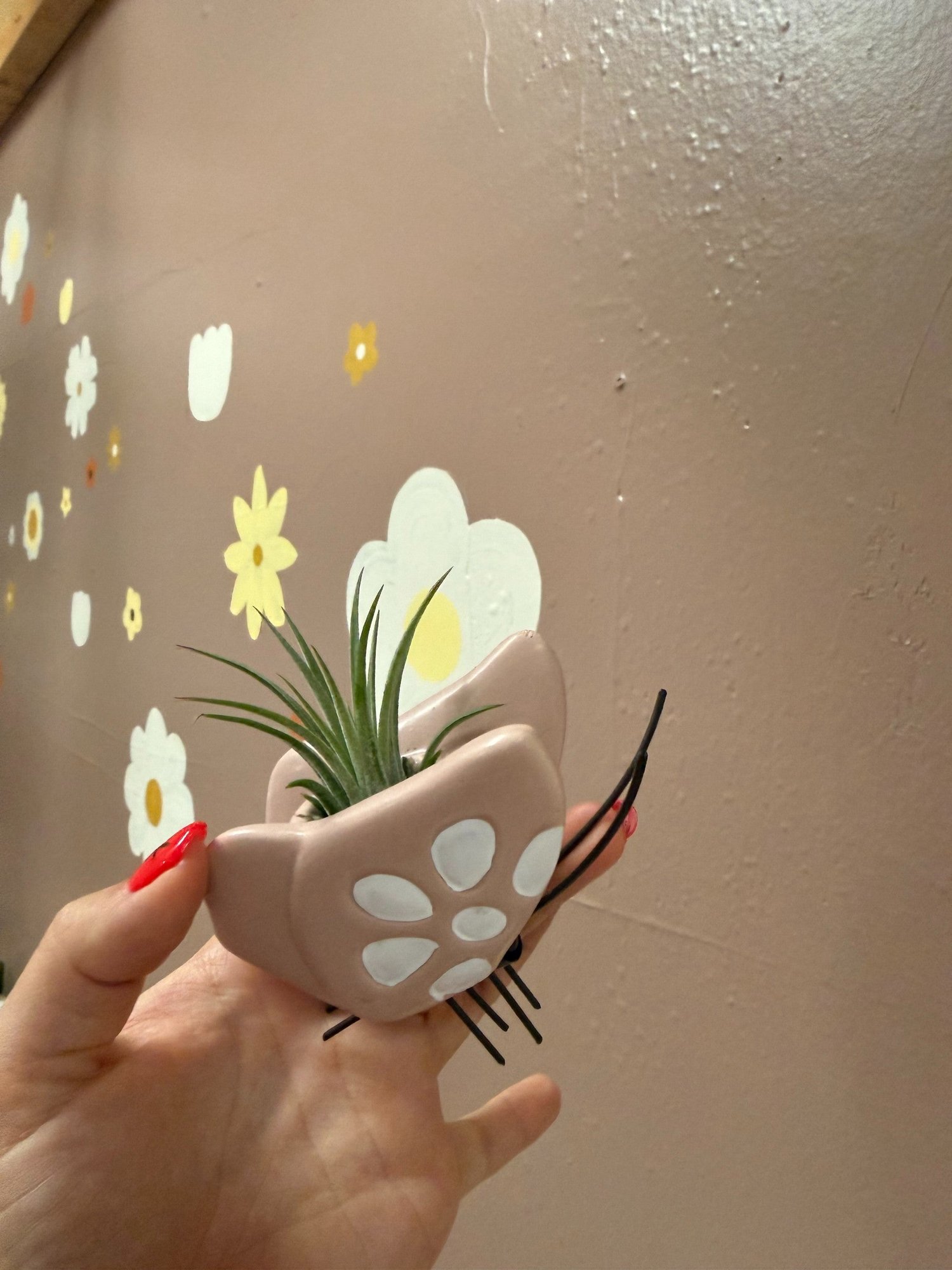 PLANTS