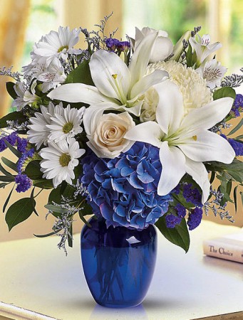 Beautiful in Blue - T209-3A