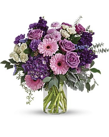 Magnificent Mauves - T281-6B