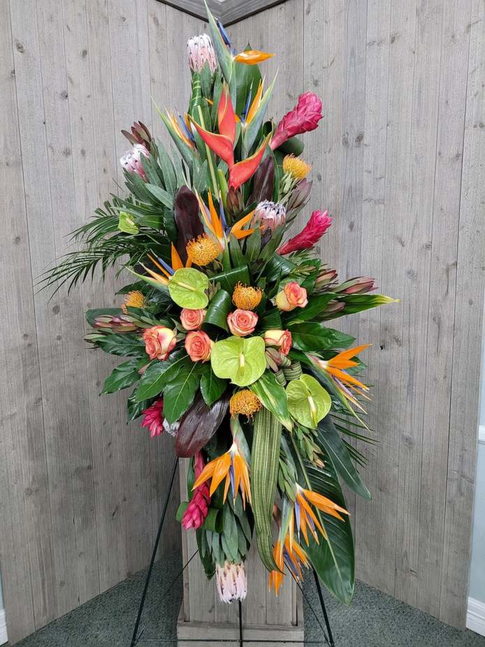 Tropical Tribute
