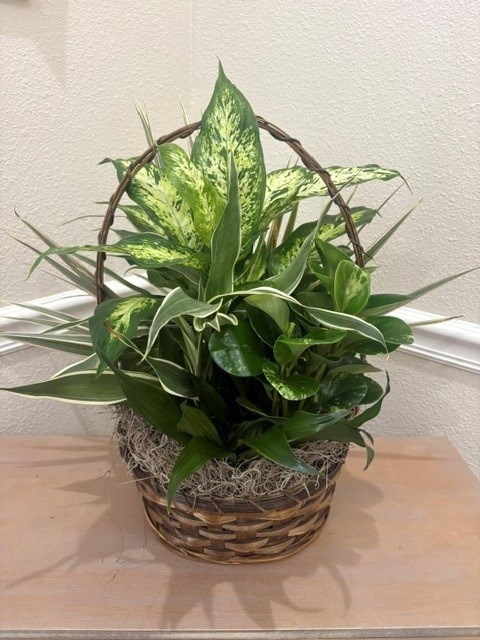 Planter Basket